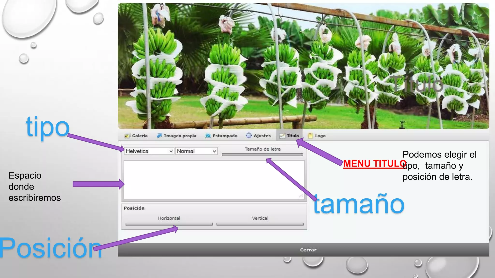 MENU TITULO
Podemos elegir el
tipo, tamaño y
posición de letra.
tipo
tamaño
Posición
Espacio
donde
escribiremos
 