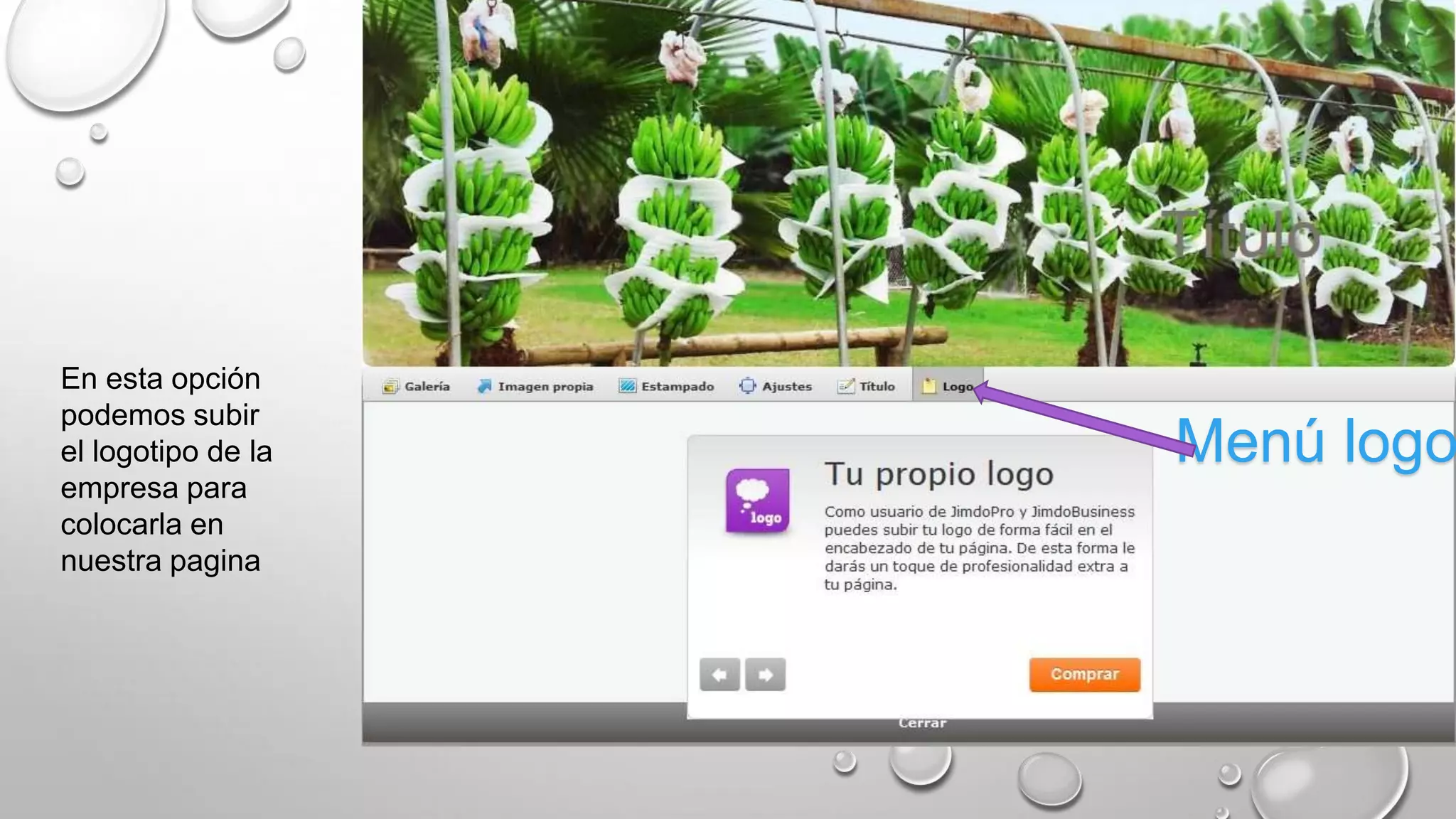 Menú logo
En esta opción
podemos subir
el logotipo de la
empresa para
colocarla en
nuestra pagina
 