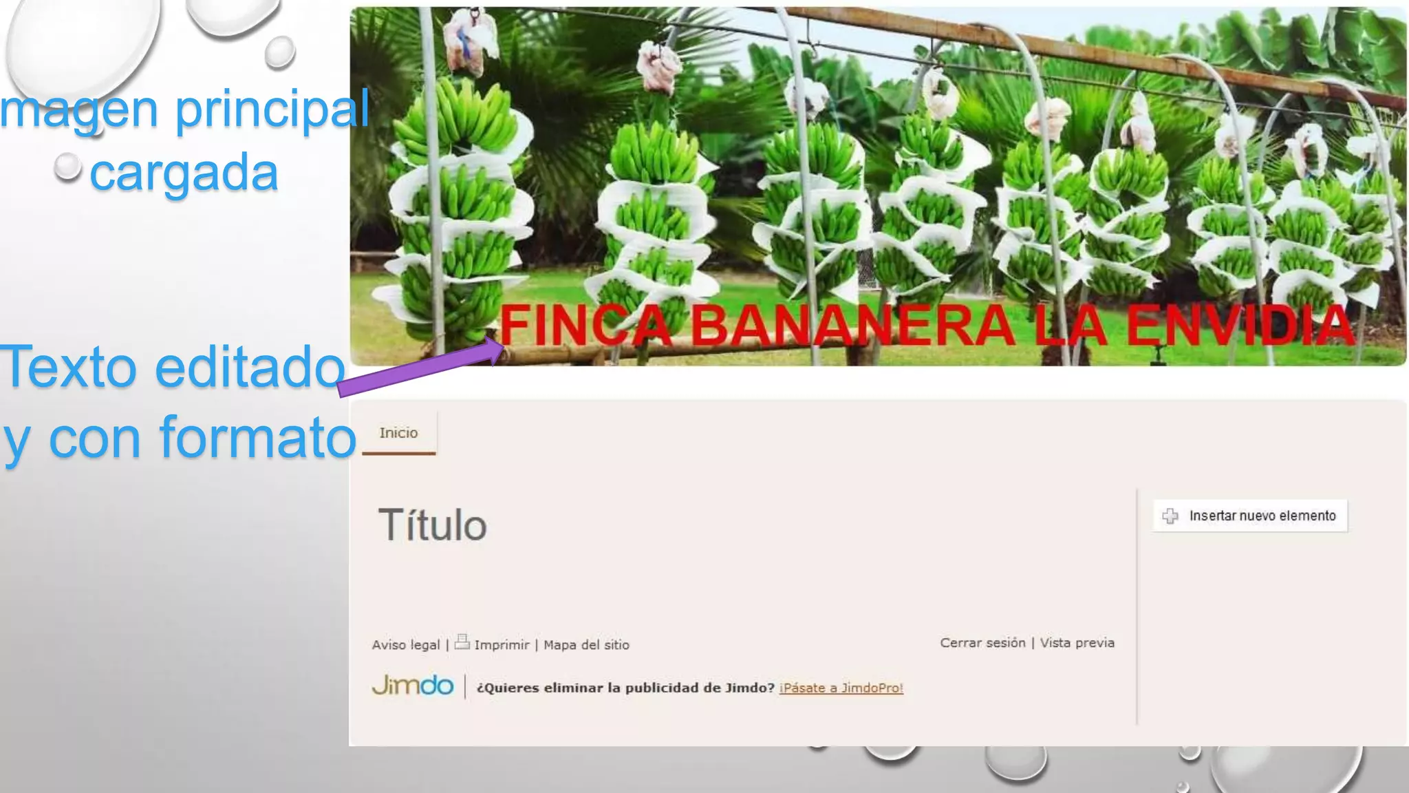 Imagen principal
cargada
Texto editado
y con formato
 