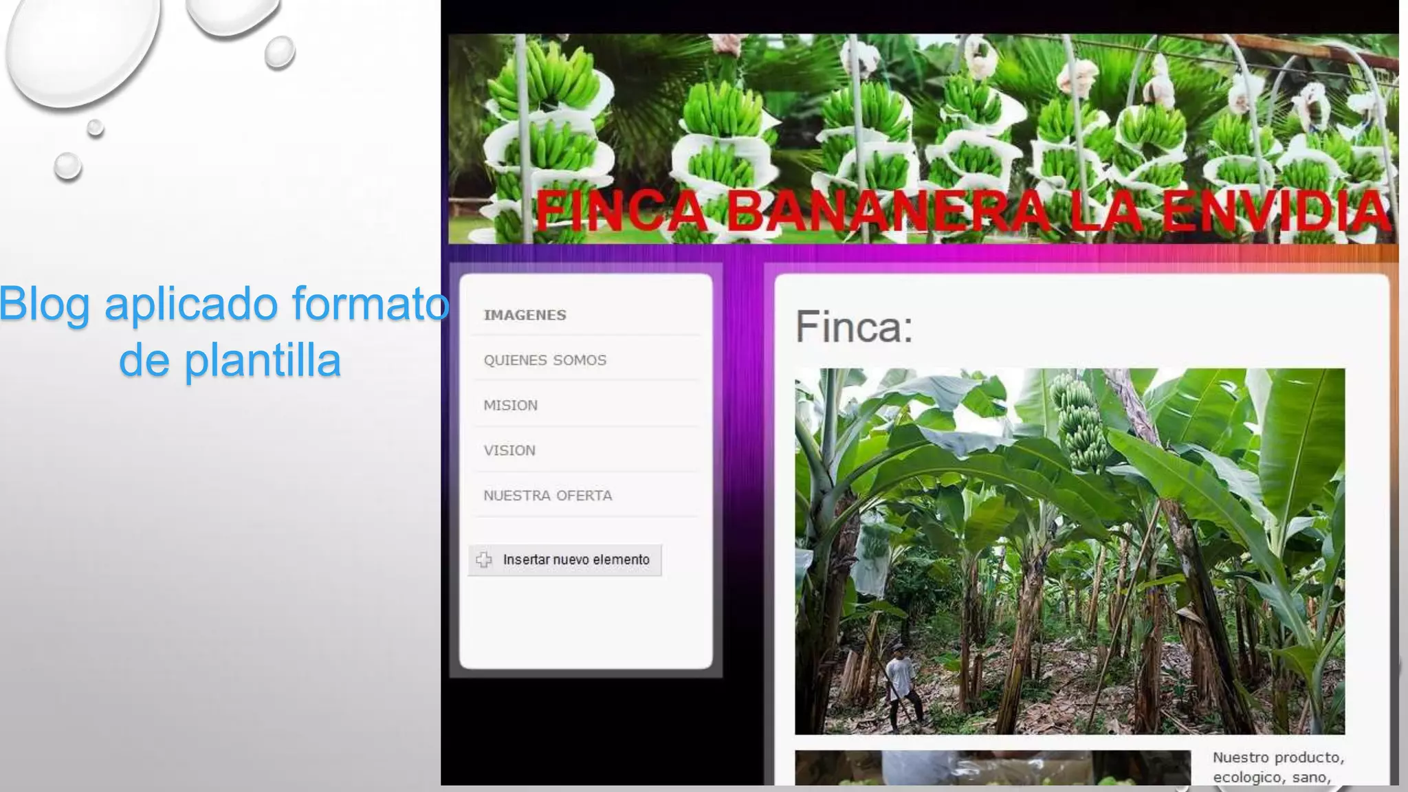 Blog aplicado formato
de plantilla
 