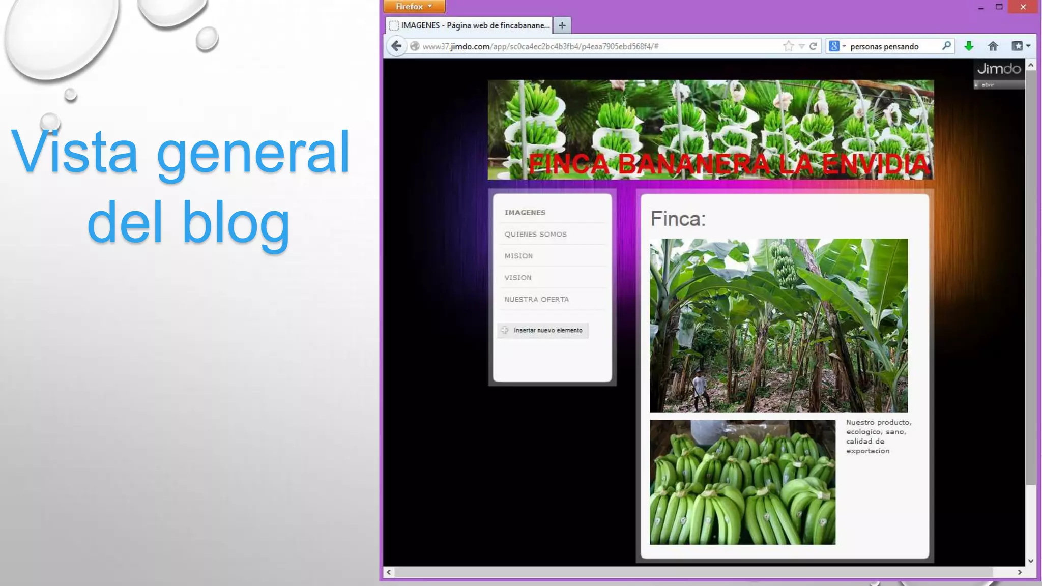 Vista general
del blog
 