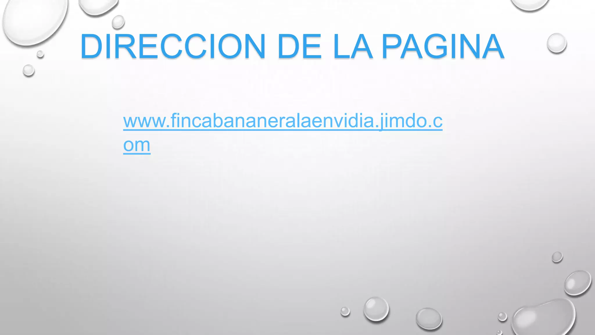 DIRECCION DE LA PAGINA
www.fincabananeralaenvidia.jimdo.c
om
 