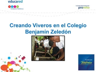 Creando Viveros en el Colegio
     Benjamín Zeledón
 