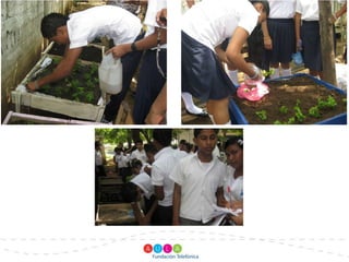 Creación de viveros