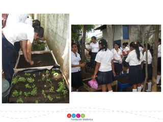 Creación de viveros