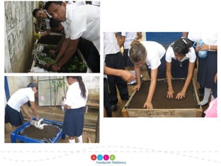 Creación de viveros