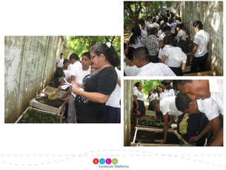 Creación de viveros