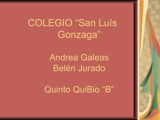 COLEGIO “San Luís Gonzaga” Andrea Galeas Belén Jurado Quinto QuiBio “B” 