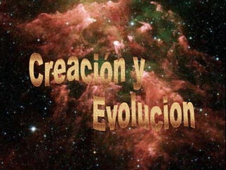 Creación y Evolución 
