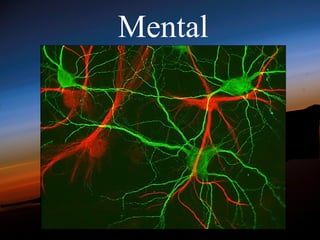 Mental
 