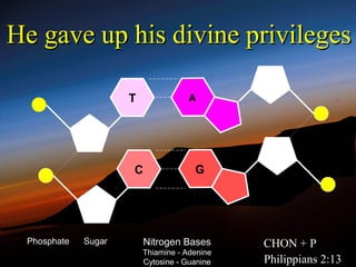 He gave up his divine privileges

                     T               A




                     C                G




 Phosphate   Sugar       Nitrogen Bases       CHON + P
                         Thiamine - Adenine
                         Cytosine - Guanine   Philippians 2:13
 