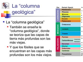 La “columna 
geológica” 
 La “columna geológica” 
 También se enseña la 
“columna geológica”, donde 
se teoriza que las capas de 
tierra más profundas son las 
más viejas. 
 Y que los fósiles que se 
encuentran en las capas más 
profundas son los más viejos. 
 