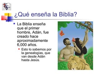 ¿Qué enseña la Biblia? 
 La Biblia enseña 
que el primer 
hombre, Adán, fue 
creado hace 
aproximadamente 
6,000 años. 
 Esto lo sabemos por 
la genealogías, que 
van desde Adán 
hasta Jesús. 
 
