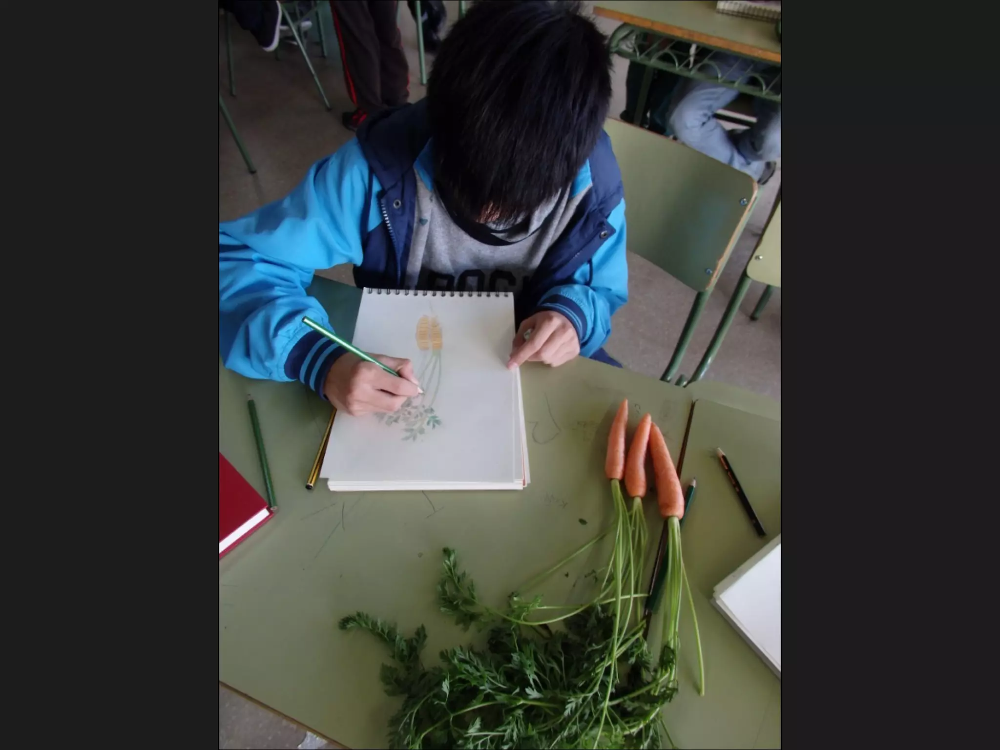 Creadors en Residència ins doctor puigvert - mercè gaja