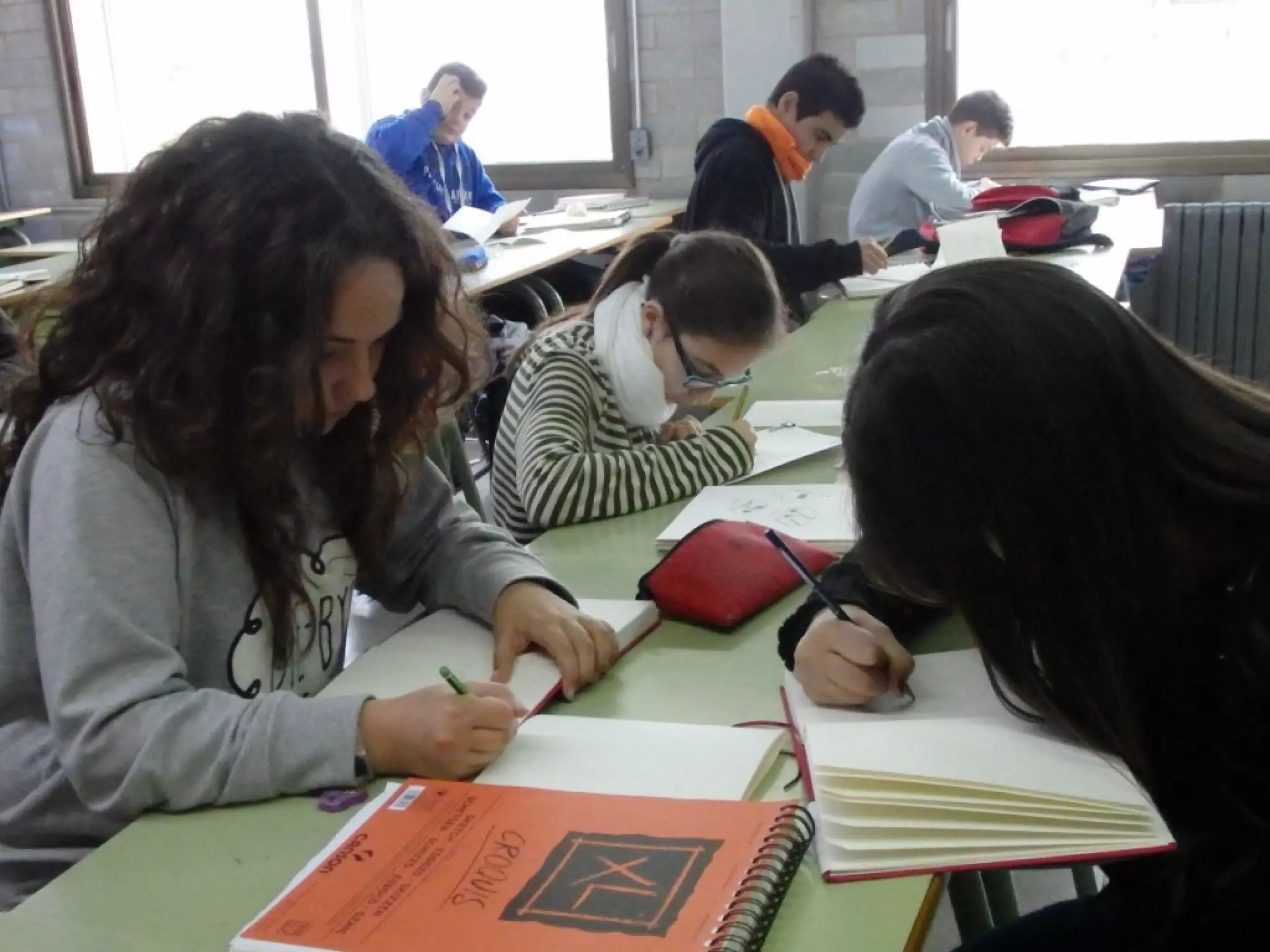 Creadors en Residència ins doctor puigvert - mercè gaja