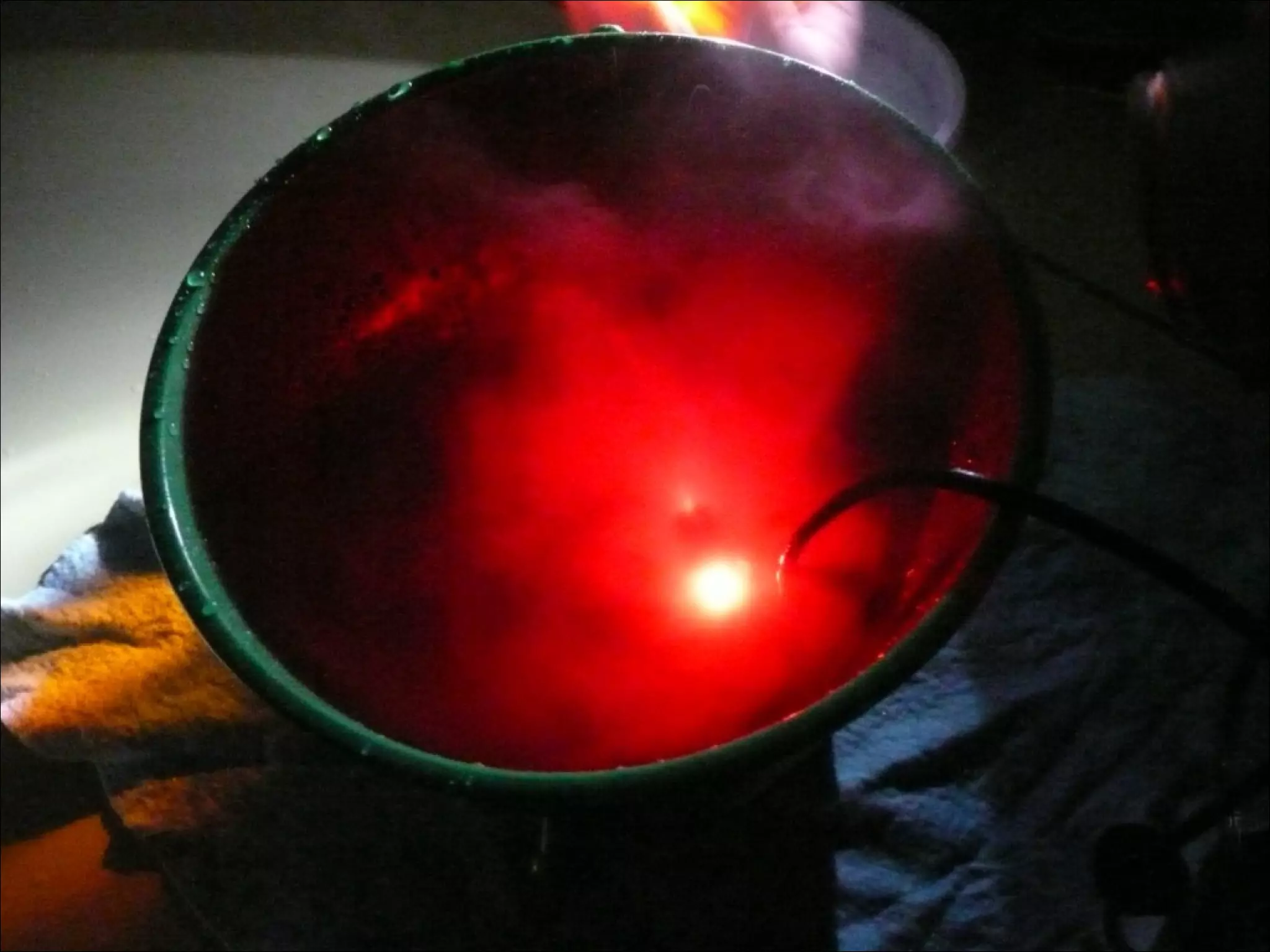 Creadors en Residència ins doctor puigvert - mercè gaja