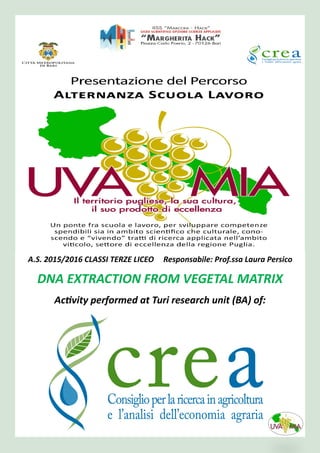 A.S. 2015/2016 CLASSI TERZE LICEO Responsabile: Prof.ssa Laura Persico
DNA EXTRACTION FROM VEGETAL MATRIX
Activity performed at Turi research unit (BA) of:
 