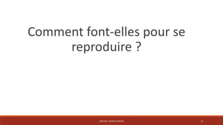 Comment font-elles pour se 
reproduire ? 
CRÉALAB - DESIGN THINKING 11 
 