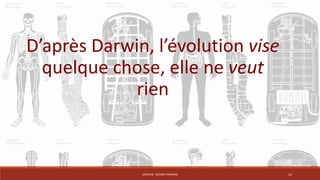 D’après Darwin, l’évolution vise 
quelque chose, elle ne veut 
rien 
CRÉALAB - DESIGN THINKING 12 
 