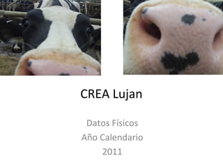 CREA Lujan

 Datos Físicos
Año Calendario
    2011
 