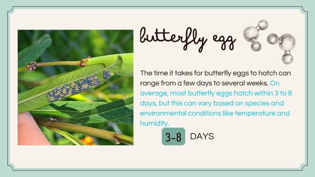 Pregnancy in animals and classification. | PPT