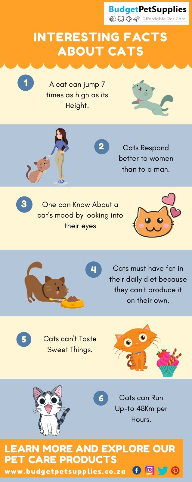 Interesting facts about Cats