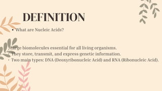 Comprehensive Overview of Nucleic Acids: DNA and RNA Structures ...