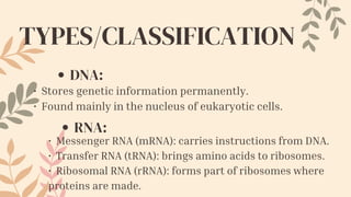 Comprehensive Overview of Nucleic Acids: DNA and RNA Structures ...