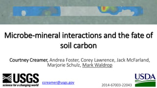 Microbe-mineral interactions and the fate of
soil carbon
Courtney Creamer, Andrea Foster, Corey Lawrence, Jack McFarland,
Marjorie Schulz, Mark Waldrop
ccreamer@usgs.gov
2014-67003-22043
 