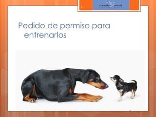 4

Pedido de permiso para
entrenarlos

4

 