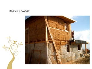 Bioconstrucción
 