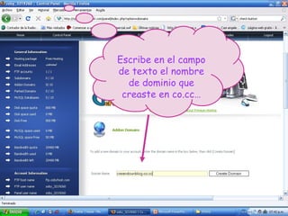 Escribe en el campo de texto el nombre de dominio que creaste en co.cc… 