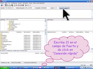 Escribe 21 en el campo de Puerto y da click en “Conexión rápida” 