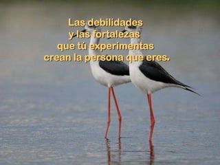 Las debilidades
     y las fortalezas
   que tú experimentas
crean la persona que eres.
 
