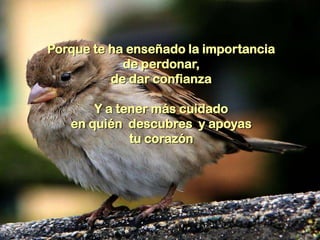 Porque te ha enseñado la importancia
            de perdonar,
          de dar confianza

       Y a tener más cuidado
   en quién descubres y apoyas
             tu corazón
 