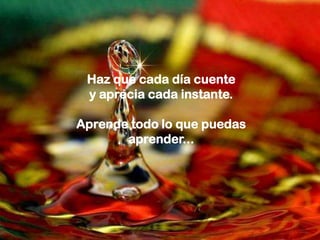 Haz que cada día cuente
 y aprecia cada instante.

Aprende todo lo que puedas
       aprender...
 