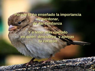 Porque te ha enseñado la importancia de perdonar, de dar confianza  Y a tener más cuidado en quién  descubres  y apoyas  tu corazón 