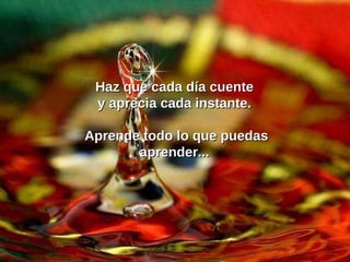 Haz que cada día cuente  y aprecia cada instante.  Aprende todo lo que puedas aprender...  