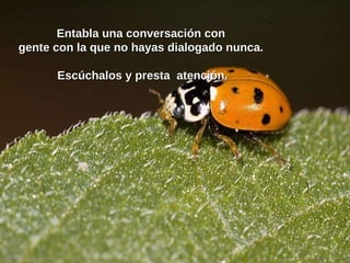 Entabla una conversación con  gente con la que no hayas dialogado nunca.  Escúchalos y presta  atención. 