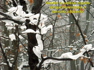 Mantén tu cabeza erguida porque tienes todo el derecho a hacerlo . 
