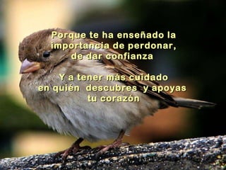 Porque te ha enseñado la importancia de perdonar, de dar confianza  Y a tener más cuidado en quién  descubres  y apoyas  tu corazón 