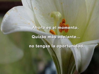 Ahora es el momento.  Quizás más adelante… no tengas la oportunidad. 