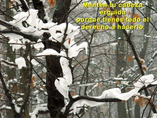 Mantén tu cabeza erguida porque tienes todo el derecho a hacerlo . 