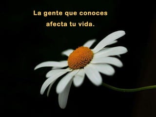 La gente que conoces  afecta tu vida.  