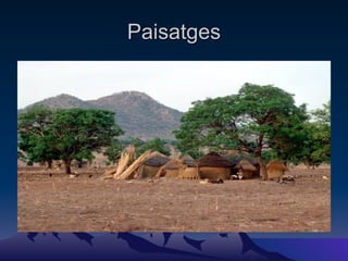 Paisatges 