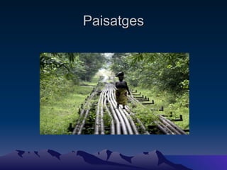 Paisatges 