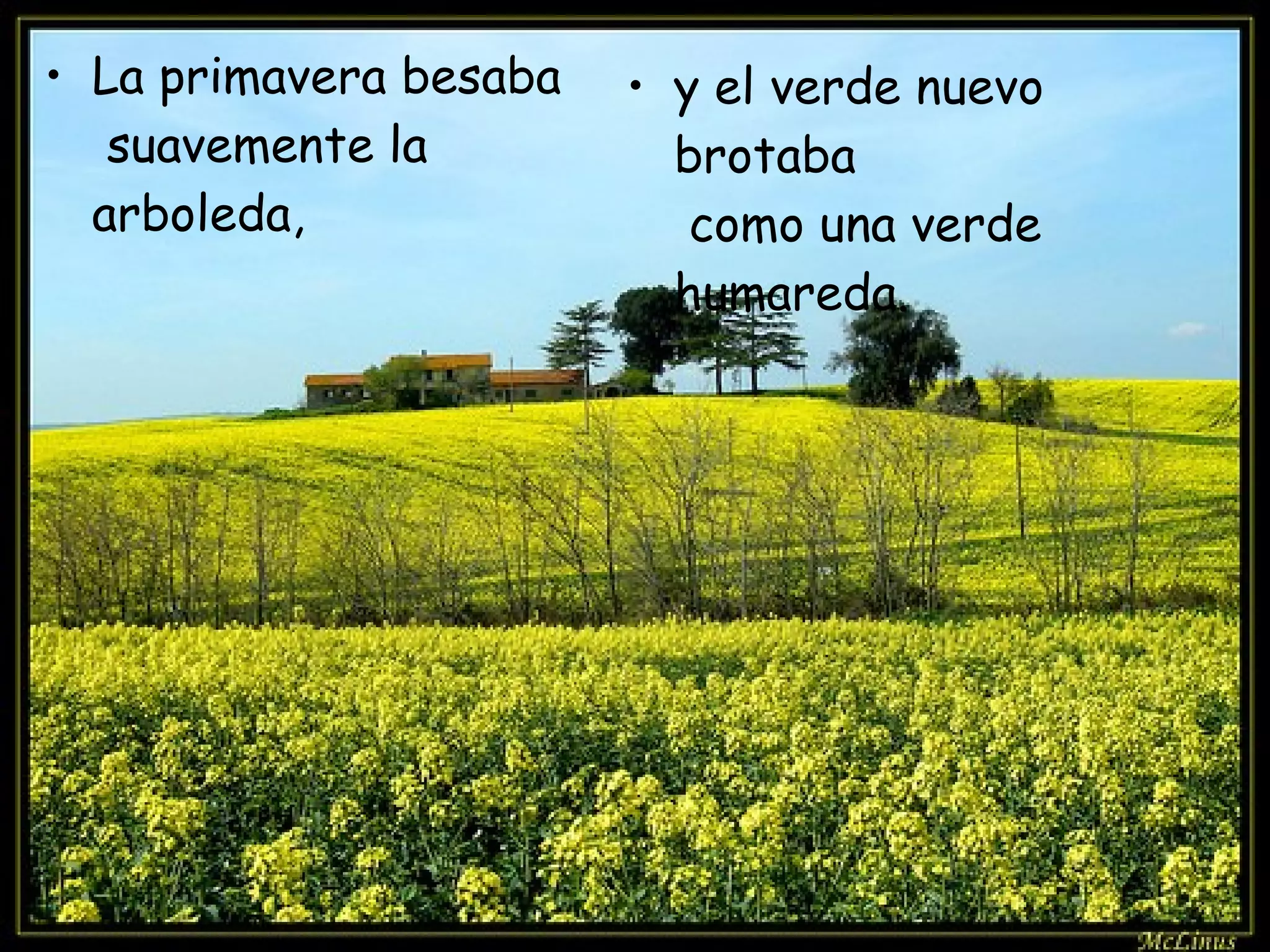 La primavera besaba suavemente la arboleda, y el verde nuevo brotaba como una verde humareda.