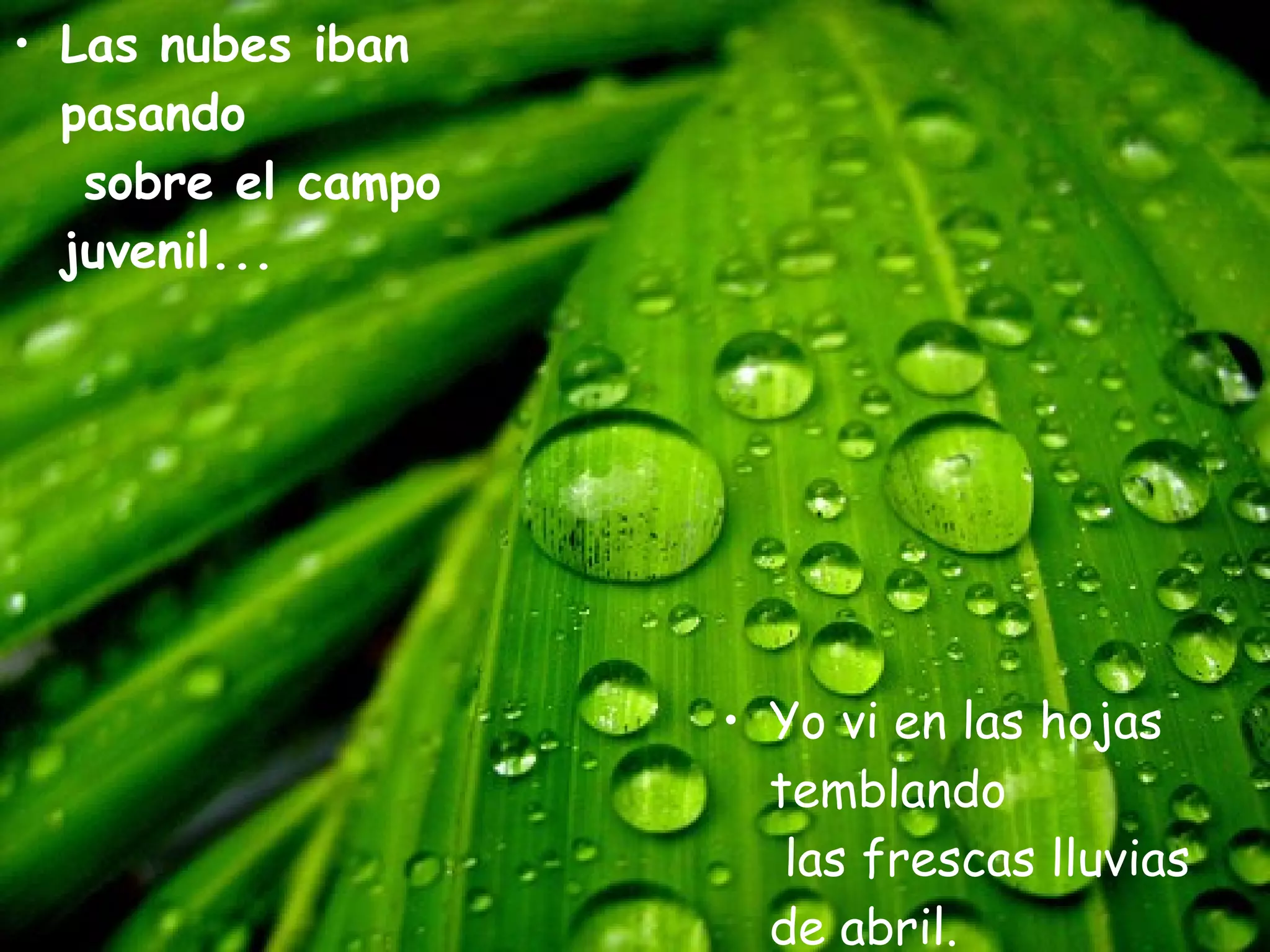 Las nubes iban pasando sobre el campo juvenil... Yo vi en las hojas temblando las frescas lluvias de abril.