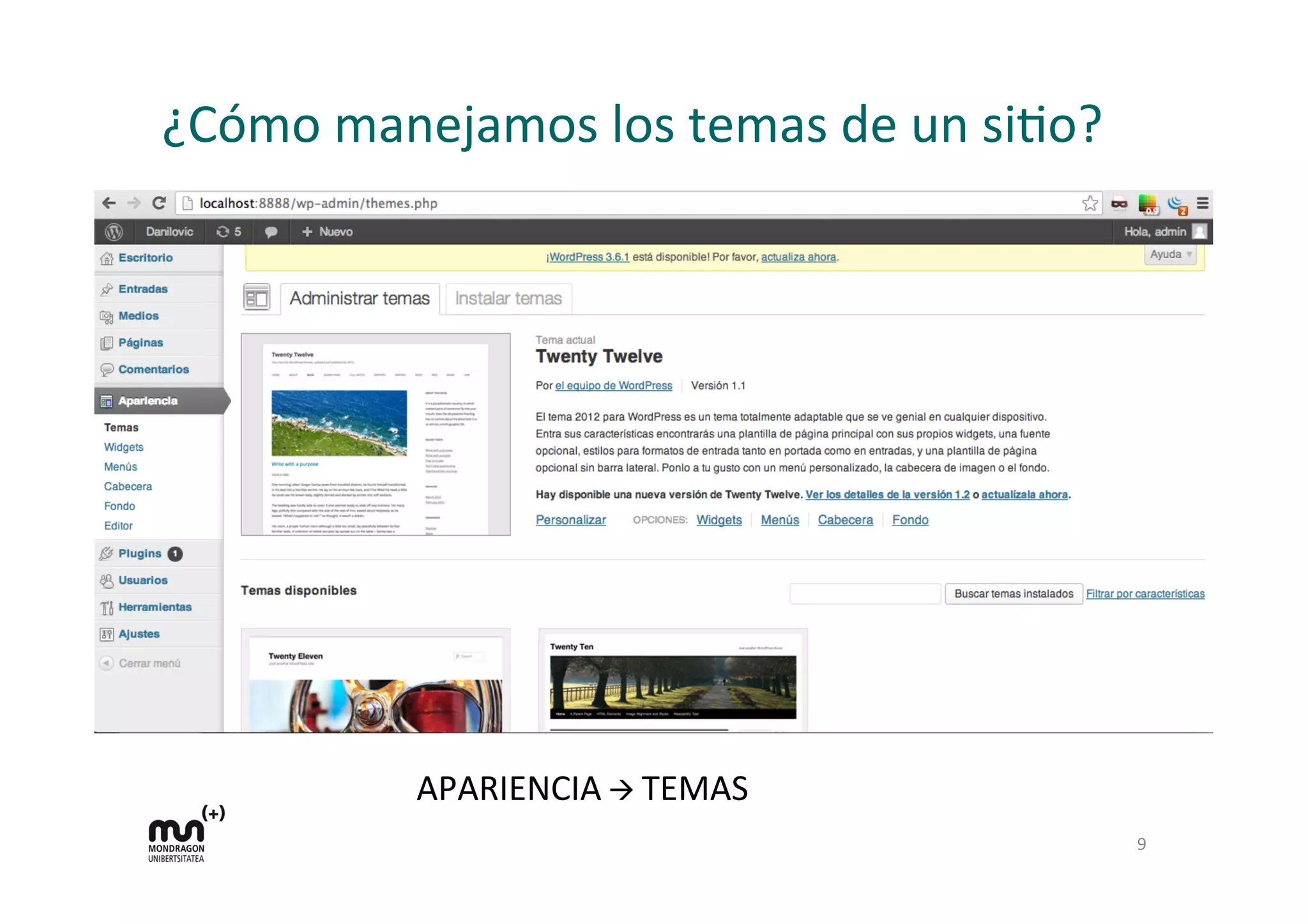 ¿Cómo	
  manejamos	
  los	
  temas	
  de	
  un	
  siDo?	
  
9	
  
APARIENCIA	
  à	
  TEMAS	
  
 