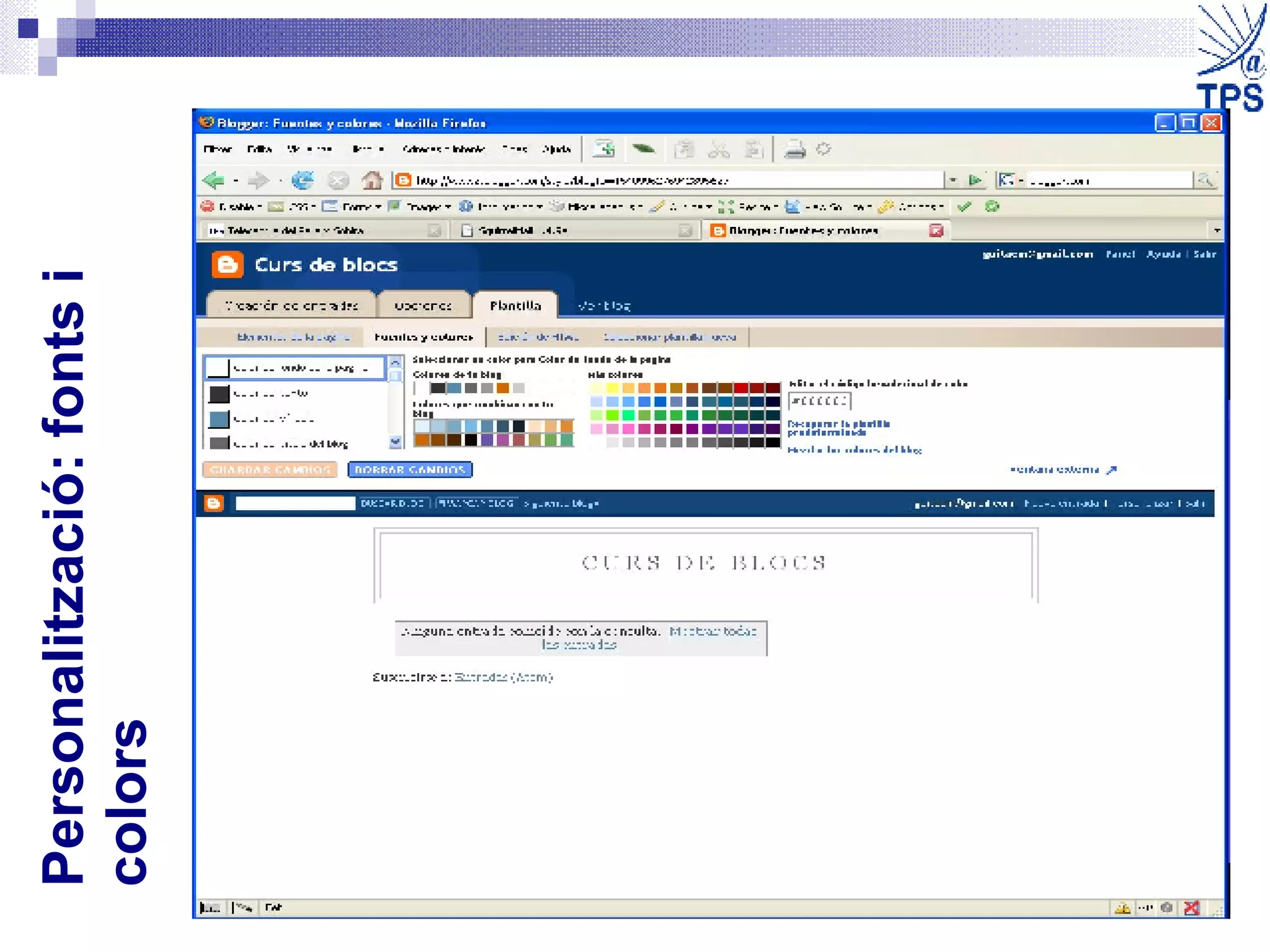 Personalització: fonts i colors 